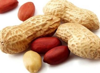 Desembermaand in die grondboonland…