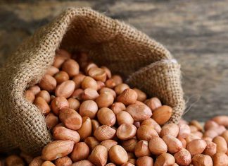 Graan SA se dankie aan GRONDBOONVERWERKERS