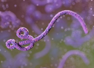 Meer oor die Ebolavirussiekte