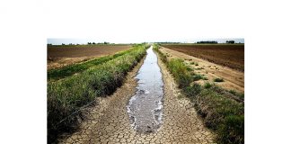 Droogte duur voort — hulp steeds nodig