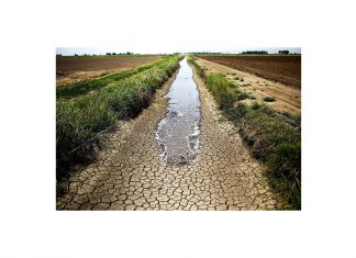 Droogte duur voort — hulp steeds nodig