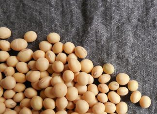 Sojabone: ‘n Outomatiese keuse vir ‘n wisselboustelsel