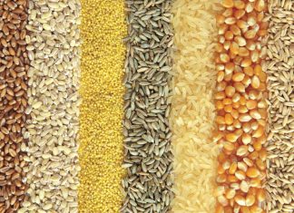 New trading environment analysed at 25th International Grains Council Conference