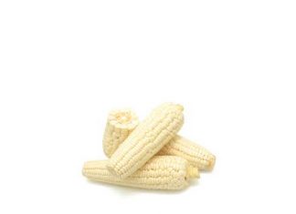 Witmielie-oorsig en besluitneming vir die nuwe seisoen