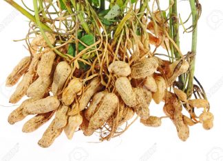 Is die Grondboonforum op koers?