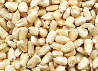 White maize quality comparisons – local versus imported