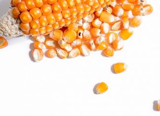 Strategieë vir saadvermeerdering só bepaal