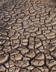 Droogtehulpprojek vir Kaapse produsente geloods