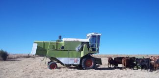 Farmer Development Programme partners invest in food security