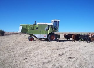 Farmer Development Programme partners invest in food security