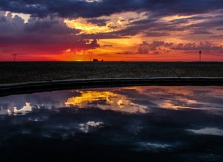 Optimalisering van stikstofbehoeftes en – benutting = beter waterbenutting