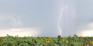 KLIMAATSLIM-LANDBOU is sleutel tot voedselsekerheid