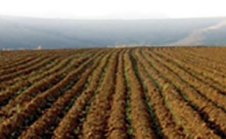 Graan SA-voorlegging aan Grondkomitee: Graan en grondhervorming het noue verband