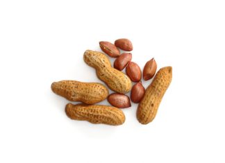 Plaaslike of ingevoerde grondbone – WAT LÊ OP JOU BORD?