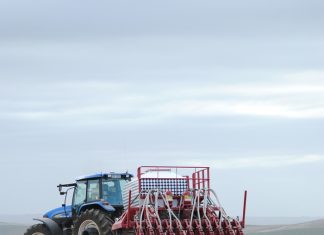 Voorneme om te plant en nuwe seisoen-voorraad