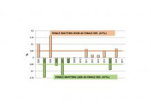 Oesskattings in perspektief