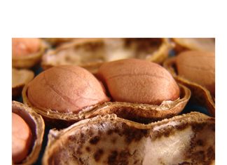 Grondbone en kanola: Wat gebeur in dié markte?