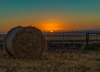 LOCATION DIFFERENTIAL investigated by expert from USA