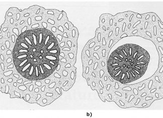GROND: DIE PRODUSENT SE BELANGRIKSTE BATE Deel 12: Grondwater (iv)