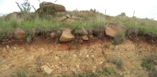 Grond: Die produsent se belangrikste bate — Deel 2: Die belangrikste geologiese moedermateriale