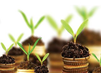 The unfolding debate around expropriation without compensation