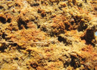 GROND: DIE PRODUSENT SE BELANGRIKSTE BATE Deel 5: Fisiese grondeienskappe (1)