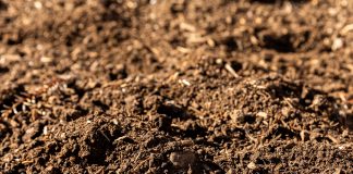 GROND: DIE PRODUSENT SE BELANGRIKSTE BATE Deel 7: Katioonuitruiling en basisversadiging