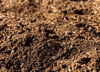 SOIL: THE PRODUCER’S MOST IMPORTANT ASSETPart 19: Soil degradation (i)