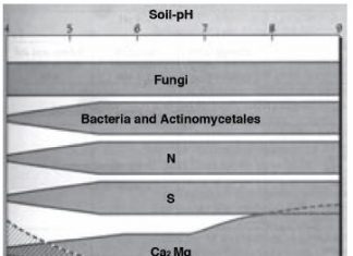 GROND: DIE PRODUSENT SE BELANGRIKSTE BATE Deel 8: Grondsuurheid