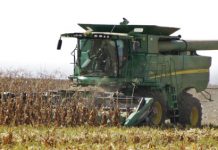 Komitee plaas plantestand van mielies onder die vergrootglas