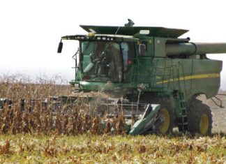 Komitee plaas plantestand van mielies onder die vergrootglas