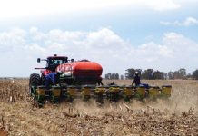 Foute met saadplasing kos ongesiens baie