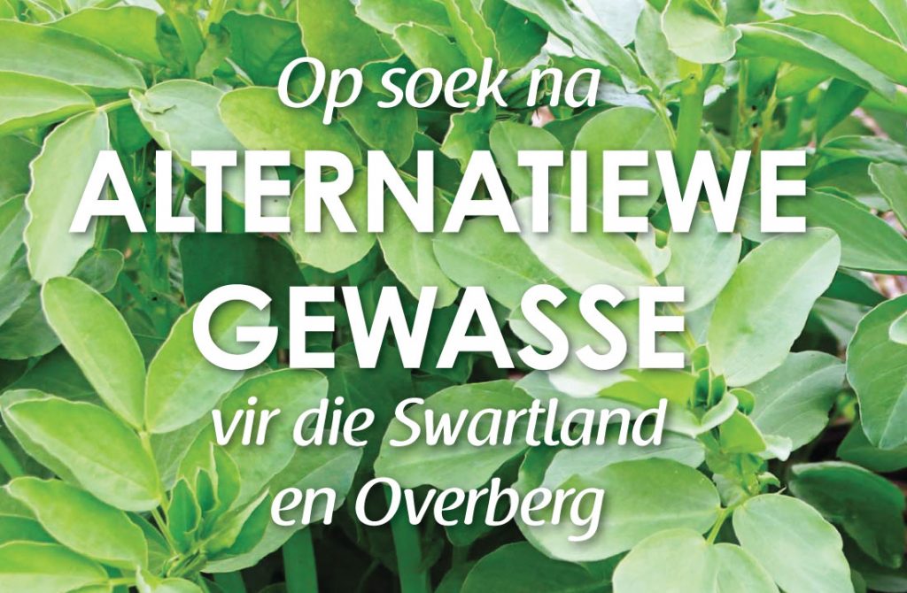 Op soek na alternatiewe gewasse vir die Swartland en Overberg