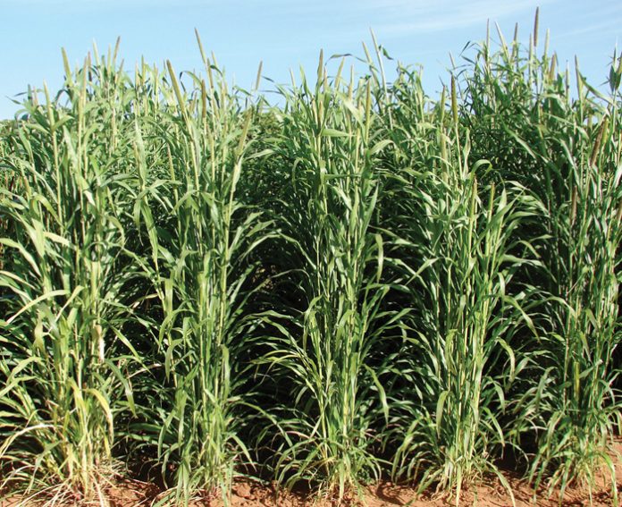 Integrated crop and pasturebased livestock production systems Part