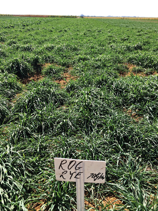 Integrated crop and pasture-based livestock production systems – Part ...