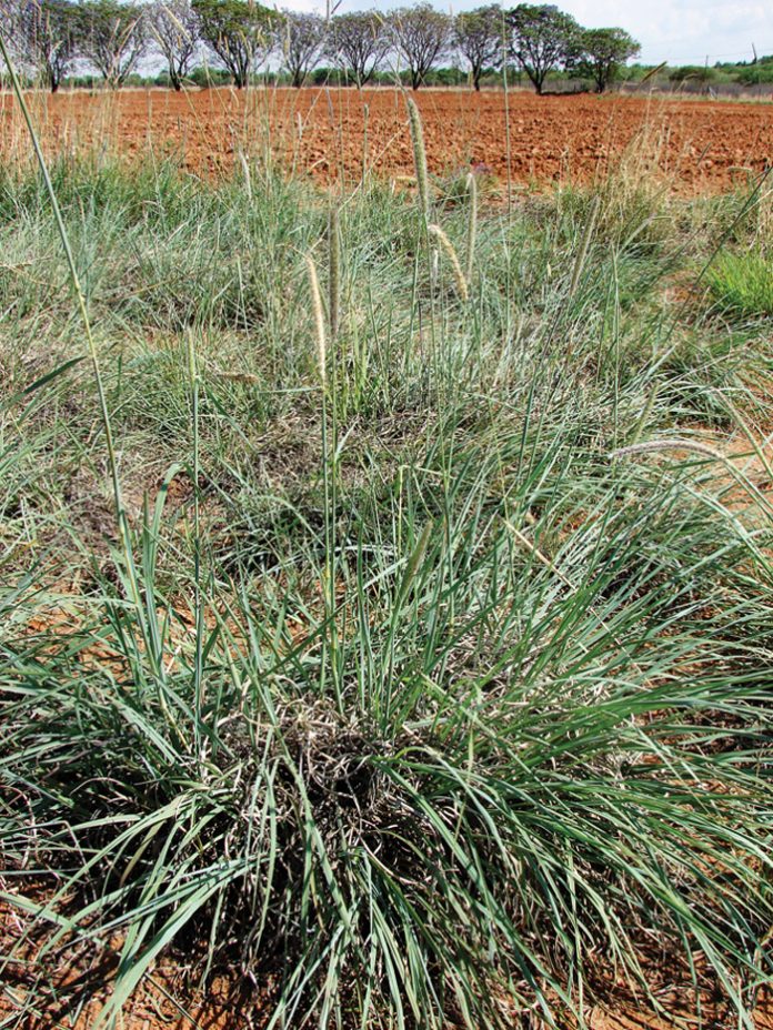 Integrated crop and pasturebased livestock production systems Part 7