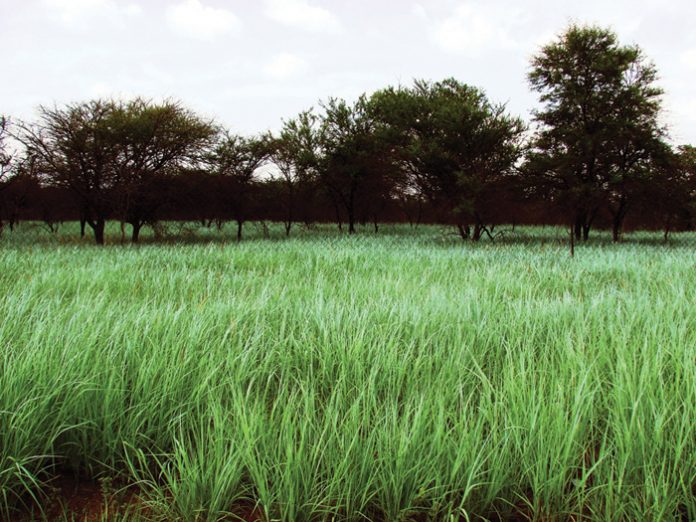 Integrated crop and pasturebased livestock production systems Part 6