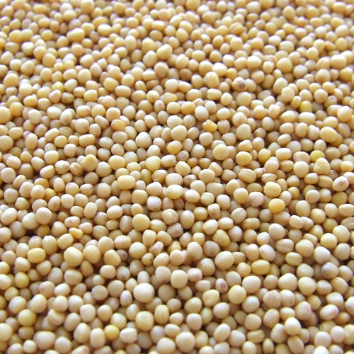 Annual soybean crop quality under scrutiny