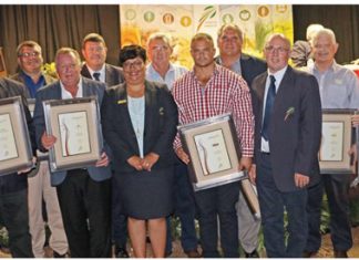 100 jaar (of langer)-mylpale gevier