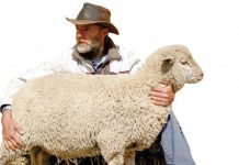 Dreams come true with motivation and support