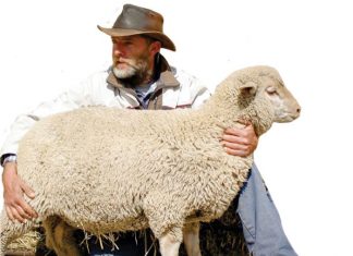 Dreams come true with motivation and support