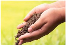 Verstaan en hanteer jou grond beter