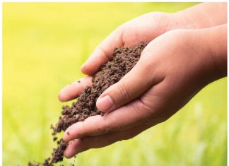 Mentorskap kan jou lewe verander