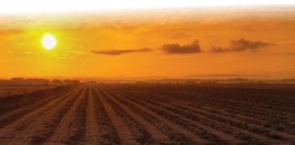 Commitment enables progress towards sustainable land use