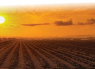 Om te weet deur te meet, is nie meer genoeg nie