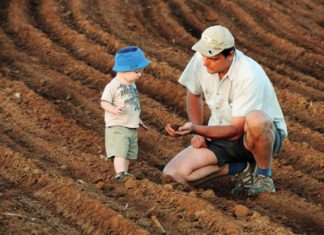 Die belangrikheid van markinligting: Wat leer ons daaruit?