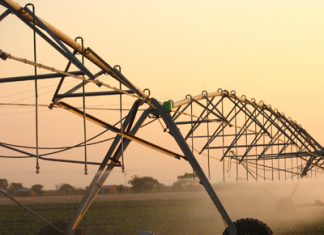 Who are you buying your agrochemicals from?