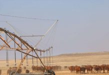 Die graanopbergingsbesluit