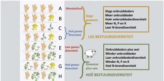 Werk gewasrotasie regtig om die onkruidsaadbank te bestuur?