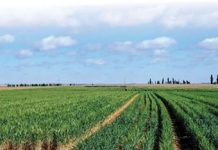 Oesskattingskomitee: Noodsaaklikheid van data